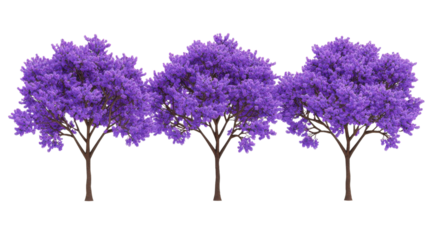 Four Lush Purple Trees on Transparent Background