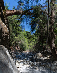 Samaria Gorge Landscape