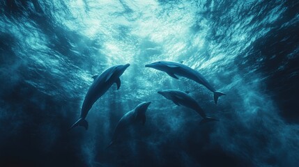 Obraz premium Majestic dolphins swimming in serene ocean waters