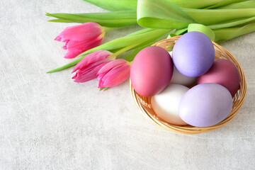 Easter Eggs in the basket and fuchsia Tulips 