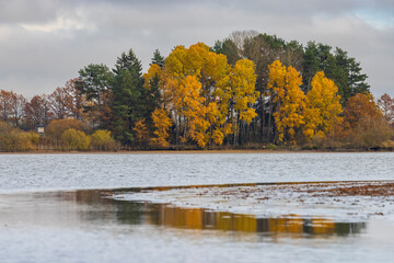 Typical autumn landscape in Trebonsko region, Velky Sustov pond near Suchdol nad Luznici, Southern...