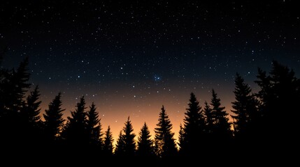 Fototapeta premium Starry night sky over silhouetted pine trees