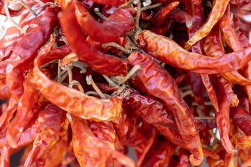 dried red chili peppers hanging in bunches 