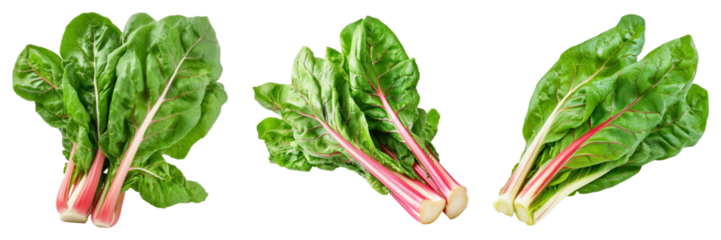 Fresh Swiss chard leaves with vibrant stems on transparency background
