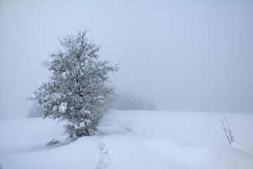 strade nella campagna bianca di neve in una giornata invernale