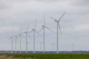 wind turbines in the field