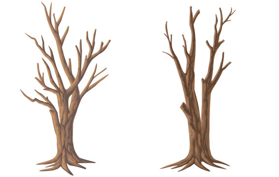 Picture set of big trees without leaves , dead old trees on ,White background ,vector illustration