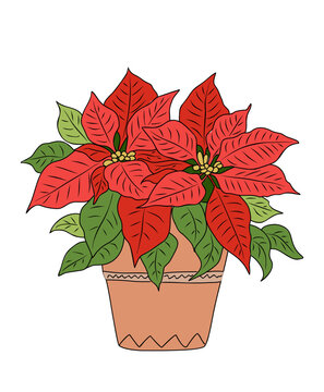 red poinsettia plant in pot clip art preview