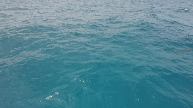 Turquoise Blue Indian ocean waves closeup from boat
