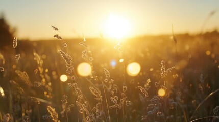 Golden Hour Sunlight Filtering Through Leaves with Bokeh Effect and Glowing Particles in a Serene Natural Setting