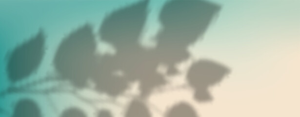 Abstract shadow of leaves and branches on white concrete wall. Soft overlay of natural light. Tropical blurred leaf. Natural light layout.