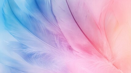 Fototapeta premium Soft pastel feathers in pink and blue.