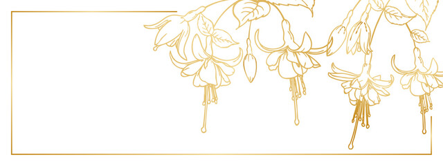 Fuchsia golden gradient on a transparent background .Close-up,isolated,macro,long