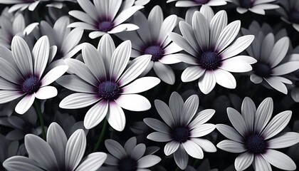 Fototapeta premium Elegant White and Purple Flowers in Bloom Creating a Stunning Natural Landscape of Petals and Leaves