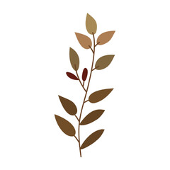 Leaves on a branch, brown. Cute illustration, vector, color, simple.