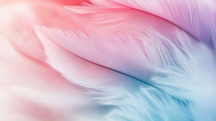 Soft pastel feathers in delicate hues.