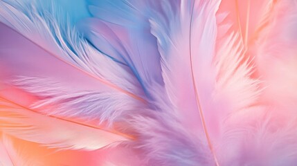 Soft pastel feathers, delicate and dreamy.