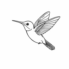 Obraz premium Hummingbird in Flight Detailed Line Drawing Black and White Sketch Graceful Wings Long Beak Minimalist Nature Illustration