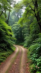 Fototapeta premium Overgrown with ferns, moss and wildflowers, winding dirt road disappears into dense forest foliage, trees, overgrowth