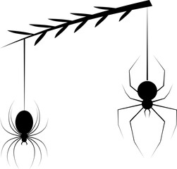 Black and White Spider Silhouettes Hanging from Webs