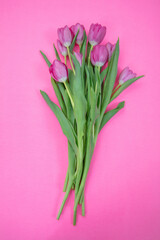 Tulip flower bunch isolated on pink, Fresh flowers bouquet. Mother day. Spring, women day