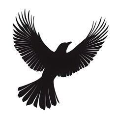 Fototapeta premium Raven in Silhouette: A majestic raven takes flight, its silhouette a study in elegant lines and dynamic form. The dark bird embodies freedom and grace, creating a visual poem.