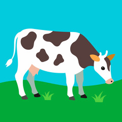 Milk cow grazing in pasture eating grass vector illustration 