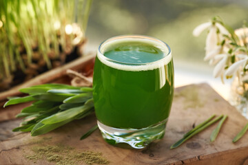 Fresh green barley grass juice with fresh homegrown blades in spring
