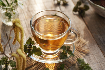 A cup of herbal tea with fresh young nettle leaves collected in early spring