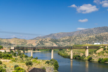 Typical Douro landscape near Pocinho, UNESCO site, Vila Nova de Foz Coa, Alto Douro wine region,...
