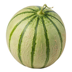 Japanese melon isolated on white background