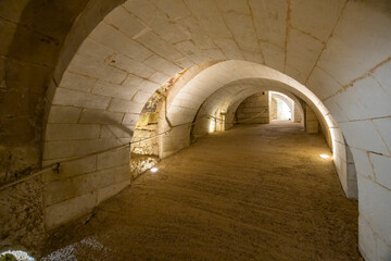 Troglodyte cellar in Breze Castle (Chateau de Breze), UNESCO World Heritage Site, Pays de la Loire, France