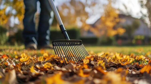 Man raking leaves in autumn garden