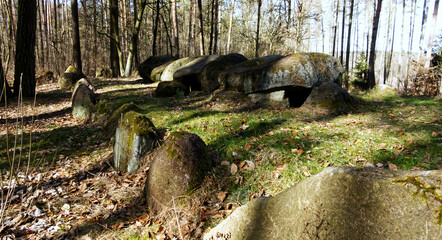 View of a Neolithic megalithic tomb in a forest in the Flechtingen Hills, Germany.