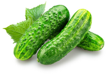 Fresh sweet small cucumbers isolated on white background. Cucumbers that are used to pickling or slicing.