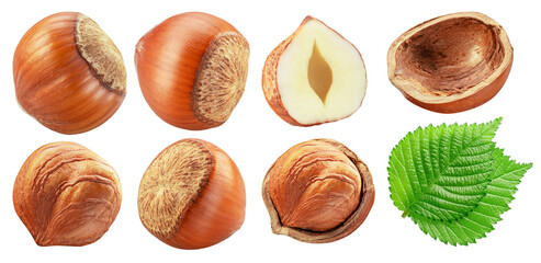 Set of hazelnuts, hazelnut kernel and green leaves on white background. Clipping paths.