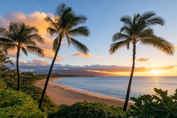 Palms silhouette coastline at sunset. Relaxation ad, travel, destination ideas