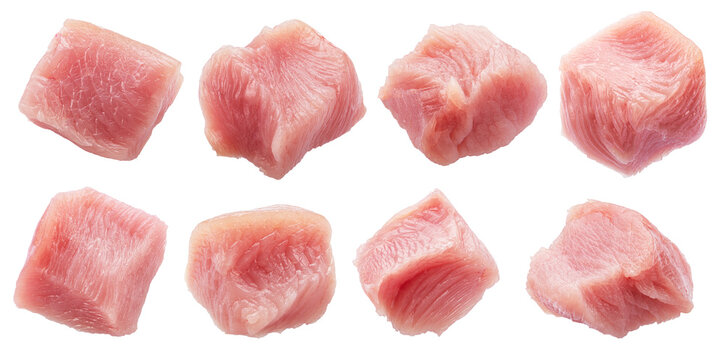 Set of different raw turkey meat pieces isolated on white. File contains clipping paths.