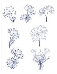 Aesthetic Cosmos Flower Line Art