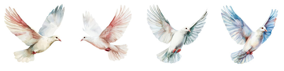 A flock of beautiful white and grey doves or pigeons flying gracefully through the clear blue sky with their delicate feathered wings flapping and soaring in a gentle serene and peaceful movement