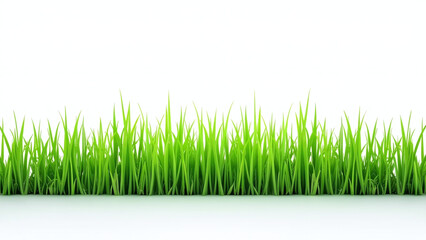 Obraz premium green grass stands alone pristine white background