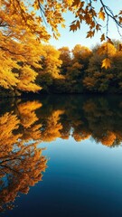 Reflections of golden maple leaves in serene lake, fall colors, fall landscapes, autumn leaves