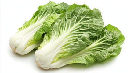 Fresh chinese cabbage with crisp green leaves isolated on a clean background, showcasing a nutritious high-fiber vegetable rich in vitamins for healthy daily cooking, plant-based diets, and organic fo