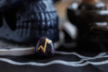 Scandinavian nordic rune. Viking concept.