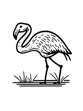 black and white flamingo standing in grass clip art preview