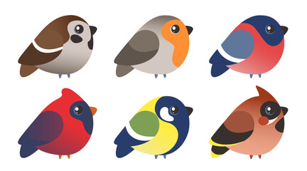 Set with autumn and winter birds of Europe