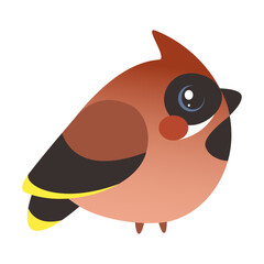 Cartoon Waxwing bird isolated. Flat style