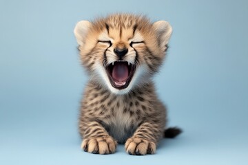 Obraz premium Cheetah cub playfully yawning against a light blue background in a studio setting