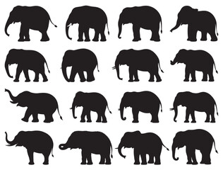 CUTE ELEPHANTS SILHOUETTE WHITE BACKGROUND