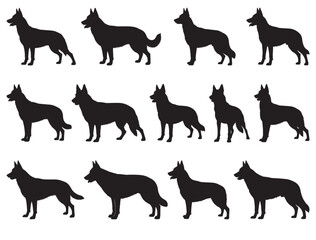 DUTCH SHEPHERD DOGS SILHOUETTE WHITE BACKGROUND